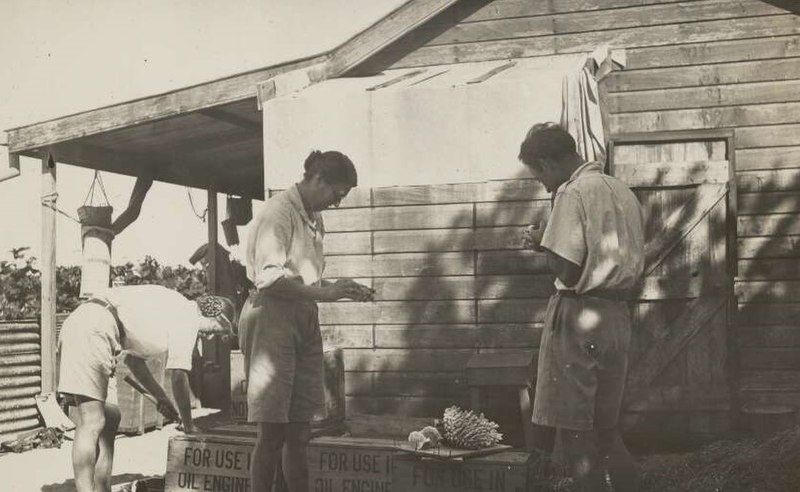 Sheina Marshall (centre) and C.M. Yonge (right), cleaning coral specimens, Great Barrier Reef Expedition, 1928-1929. Photo: National Library of Australia.